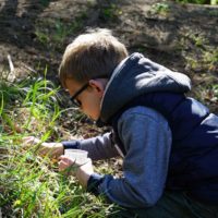 Kind mit Becherlupe sucht Material im Gras