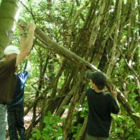 Hütten werden aus Ästen und Stämmen gebaut von einem Erwachsenen und zwei Kindern