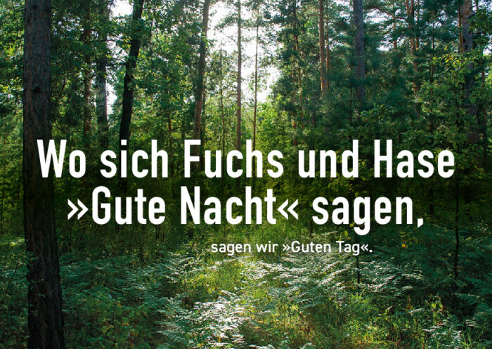 Vorschau Postkarte Motiv 2, Bild einer Waldlandschaft: Wo sich Fuchs und Hase "Gute Nacht" sagen, sagen wir "Guten Tag".