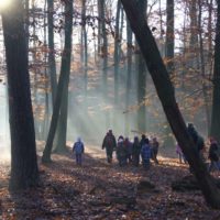 Gruppe im herbstlichen Wald mit Gegenlicht der Sonne durch Nebel