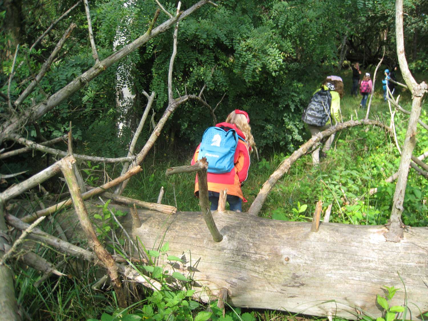 Waldtag